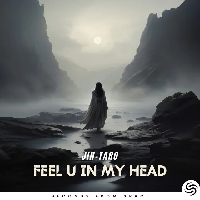 Feel U In My Head - Extended Mix by Seconds From Space, Jin-Taro - Hardstyle cover art