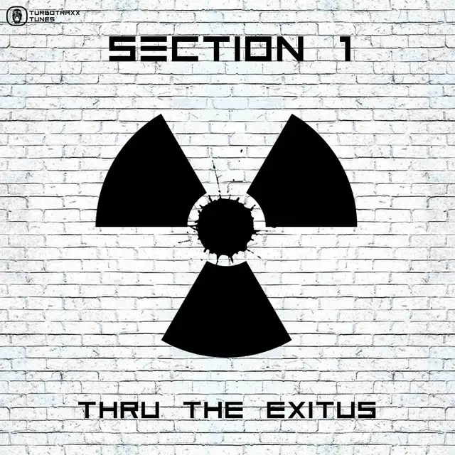 Peace Of Mind by Section 1 - Hardstyle cover art