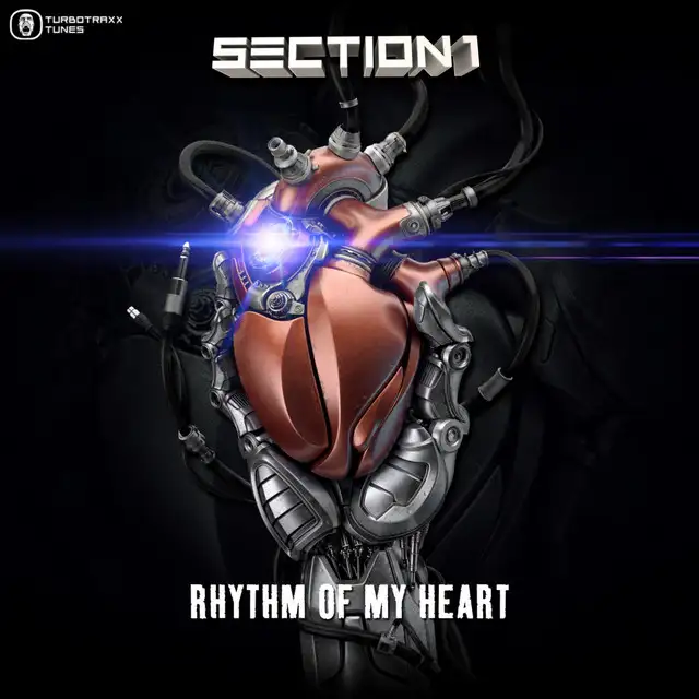 Rhythm Of My Heart - Radio Edit by Section 1 - Hardstyle cover art