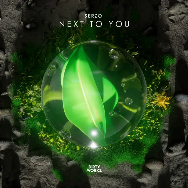 Next To You by Serzo - Euphoric Hardstyle cover art