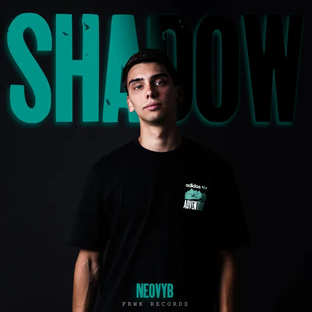 Cover art of Shadow