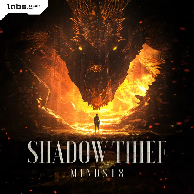 Cover art of Shadow Thief