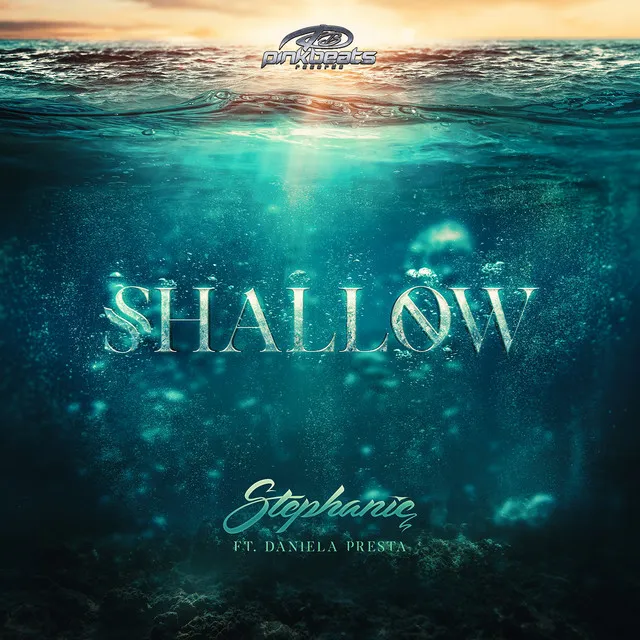 Cover art of Shallow