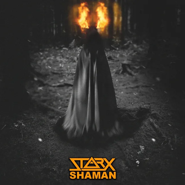 Cover art of Shaman