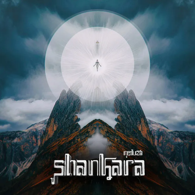 Cover art of Shankara