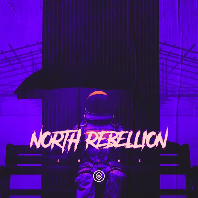 Cover art of Shine