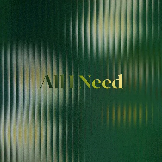 All I Need by Shiraz Javed, Nieve Pulse - Hardstyle cover art