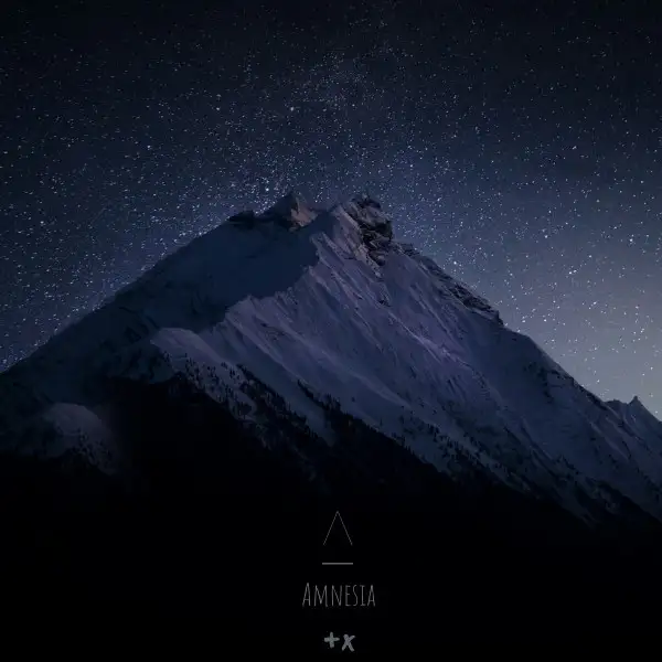 Amnesia - Radio Edit by Shiraz Javed - Hardstyle cover art