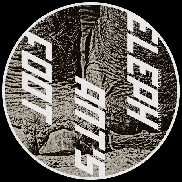 Elephant's Foot - Original Mix by Siwotha You, Toph (US) - Hard Techno cover art