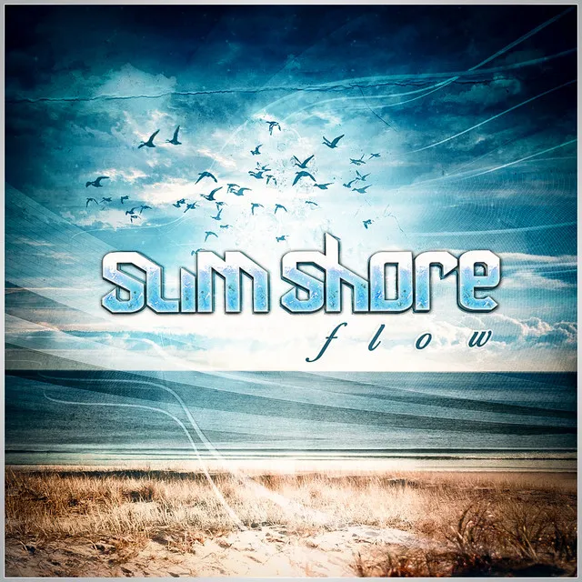 Flow - Original Edit by Slim Shore - Hardstyle cover art
