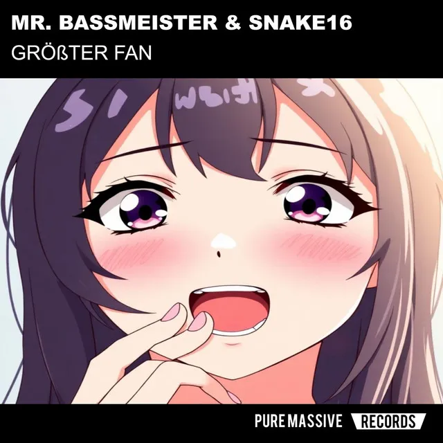 Größter Fan by Snake16, Mr. Bassmeister - Frenchcore cover art