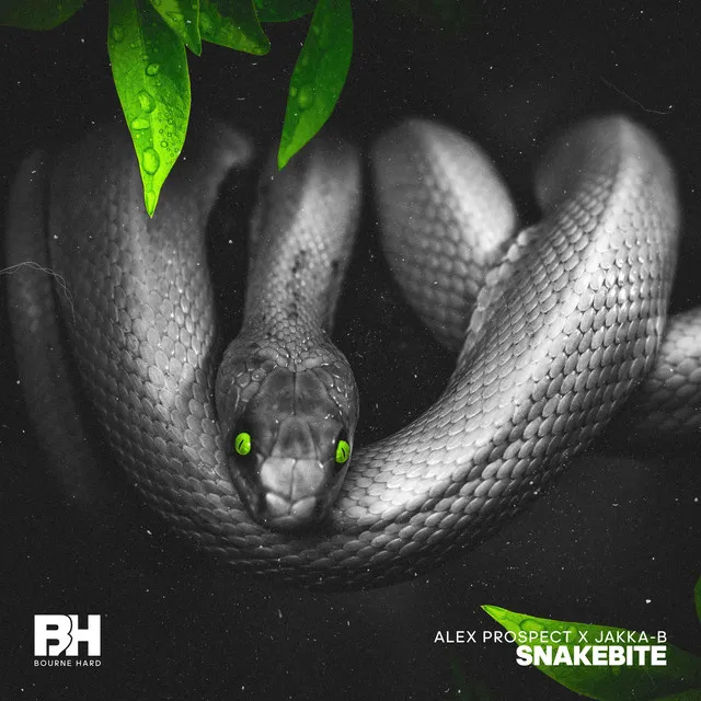 Cover art of Snakebite