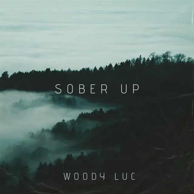 Cover art of Sober Up