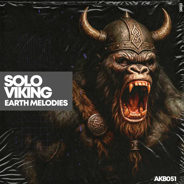 Earth Melodies by Solo Viking - Hard Techno cover art