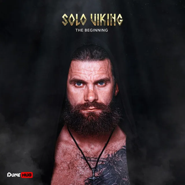 I'm a Viking by Solo Viking - Hard Techno cover art