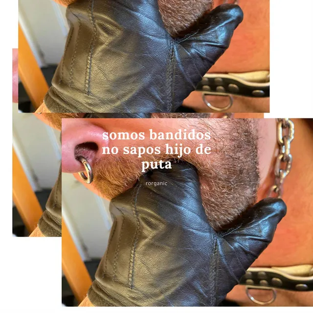 Cover art of somos bandidos no sapos hijo de puta