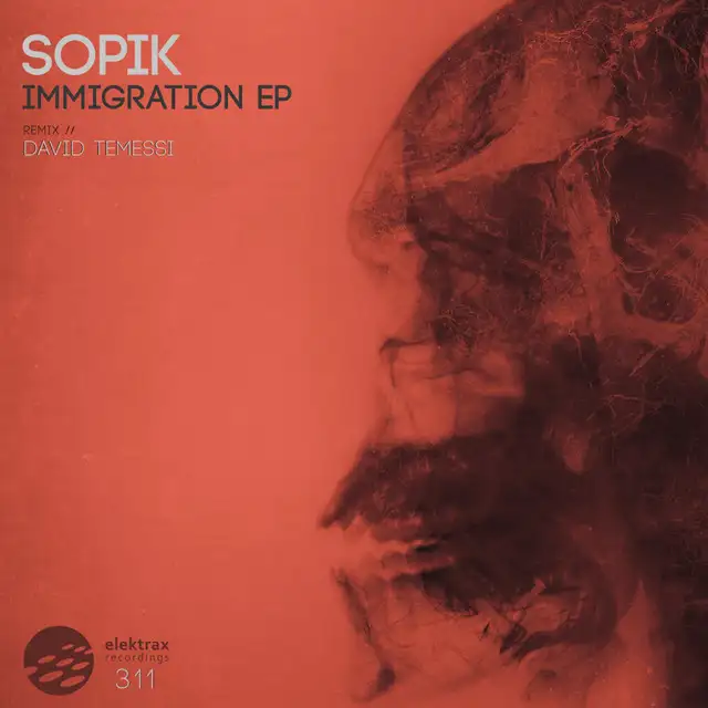Immigration - David Temessi Remix by Sopik, David Temessi - Hard Techno cover art
