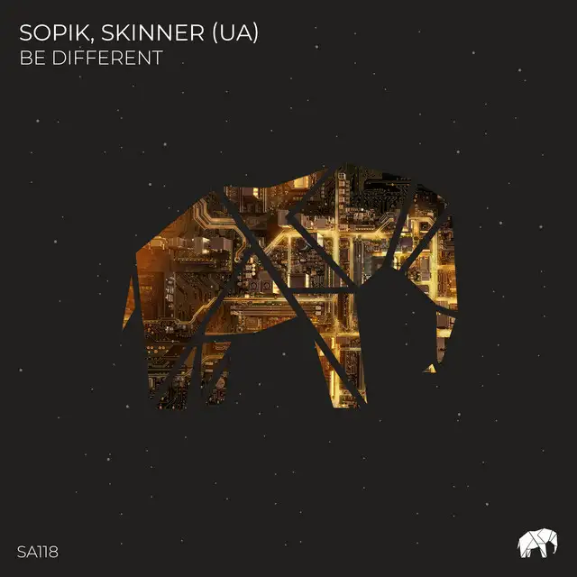 Not Normal by Sopik, Skinner (UA) - Hard Techno cover art