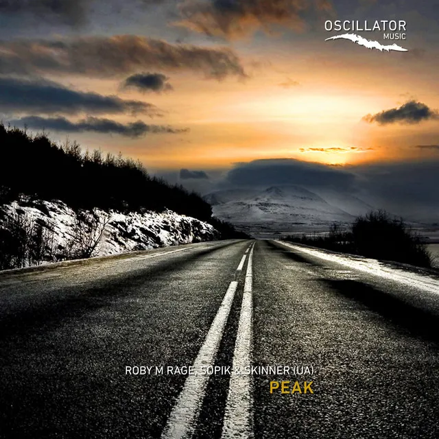 Peak by Sopik, Roby M Rage, Skinner (UA) - Hard Techno cover art