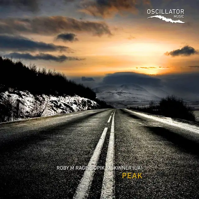 Peak - Nunno Remix by Sopik, Nunno, Roby M Rage, Skinner (UA) - Hard Techno cover art
