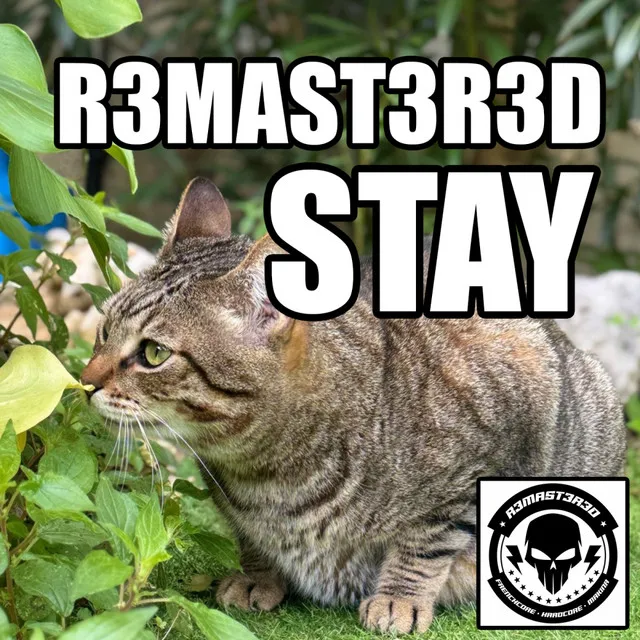 Cover art of Stay