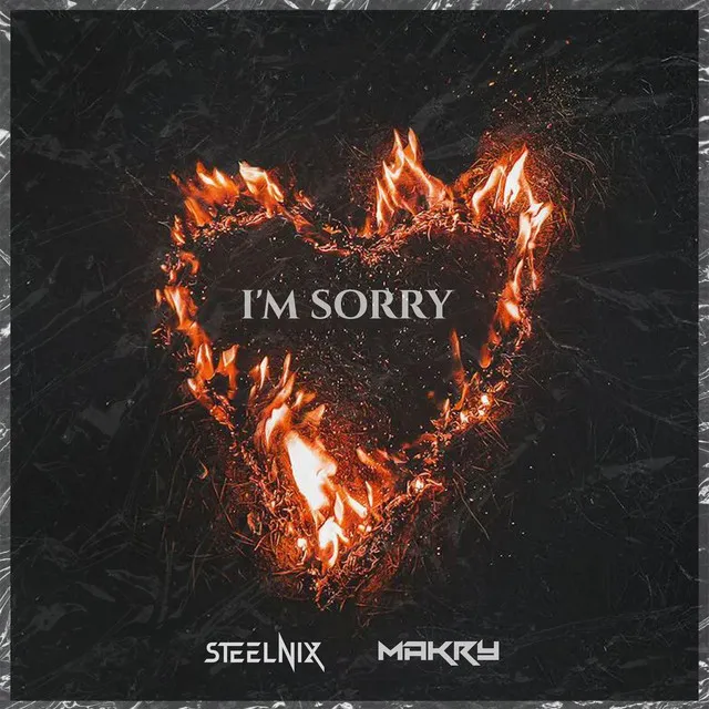 I'm Sorry by SteelniX, Makry - Happy Hardcore cover art