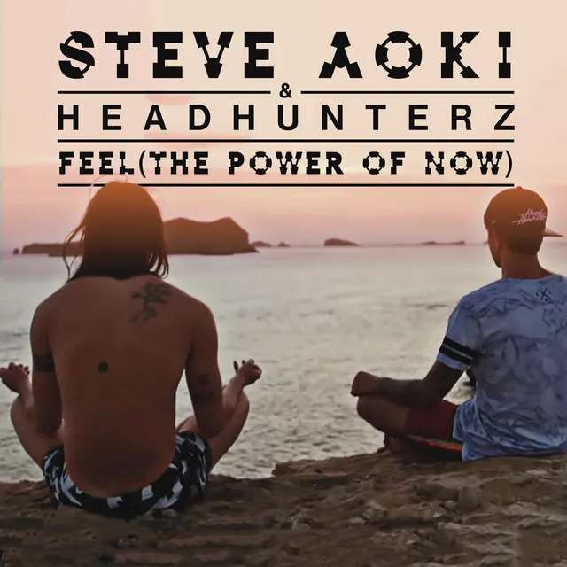 Feel (The Power Of Now) by Steve Aoki, Headhunterz - Hardstyle cover art