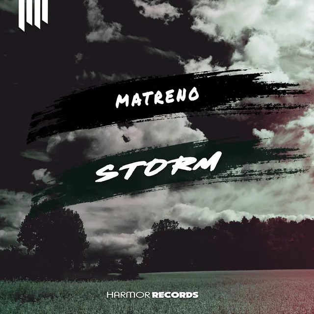 Cover art of Storm