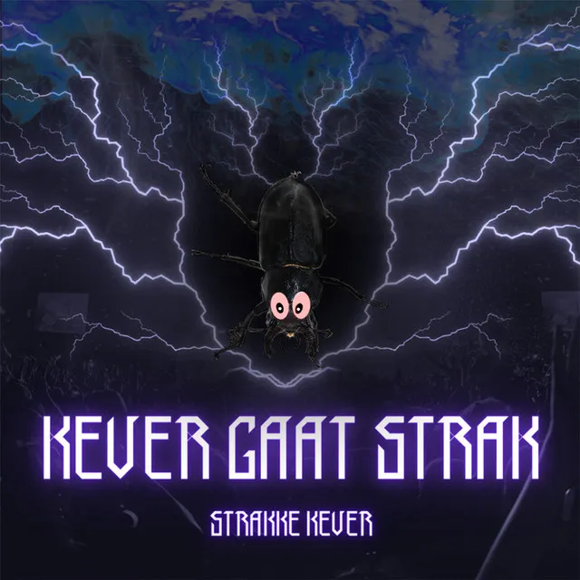 Baksteen by Strakke Kever - Hard Techno cover art