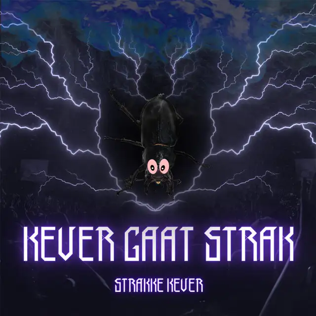 Bel De Wouten (Remix) by Strakke Kever - Hard Techno cover art