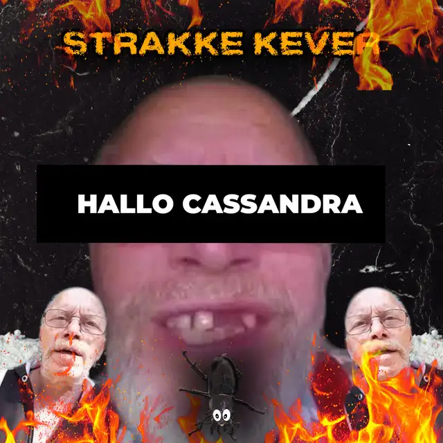 Hallo Cassandra by Strakke Kever - Hard Techno cover art