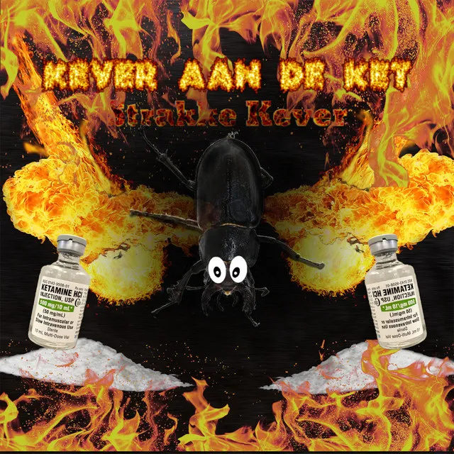 Kever Aan De Ket by Strakke Kever - Hard Techno cover art