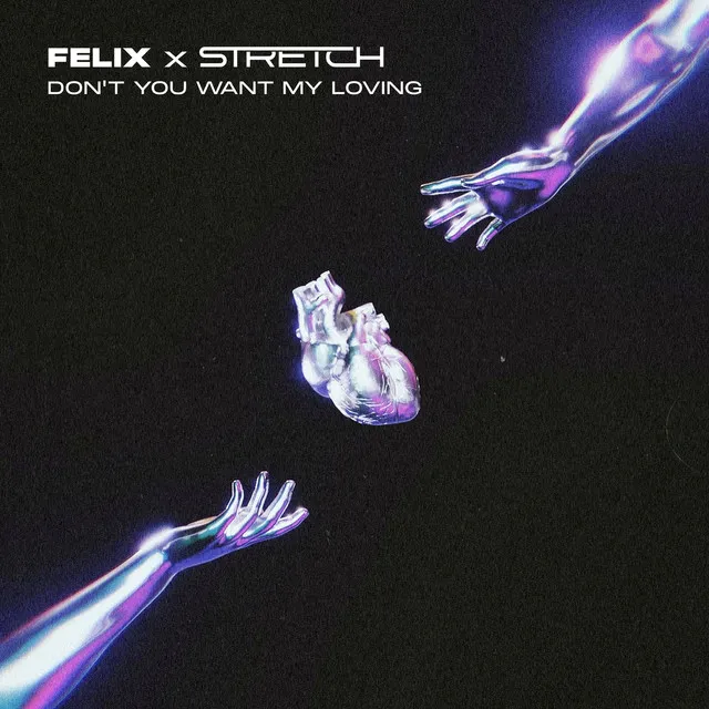 Don't You Want My Loving by Stretch - Hard Techno cover art