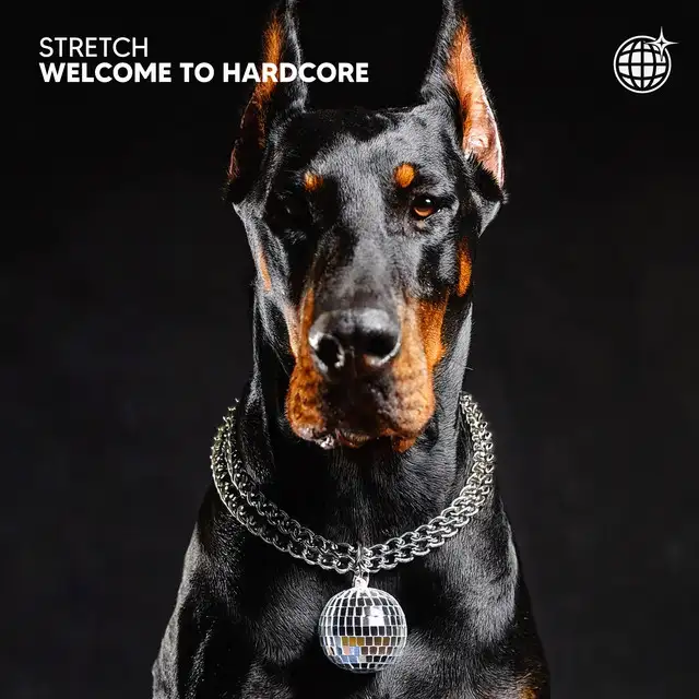 Everybody Move by Stretch - Hard Techno cover art