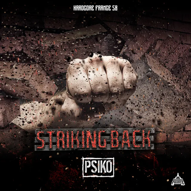 Cover art of Striking Back