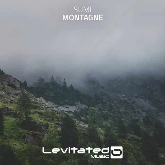 Montagne - Radio Edit by Sumi - Hardstyle cover art