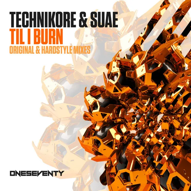 Til I Burn - Radio Edit by Technikore, Suae - Happy Hardcore cover art