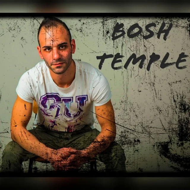 Cover art of Temple