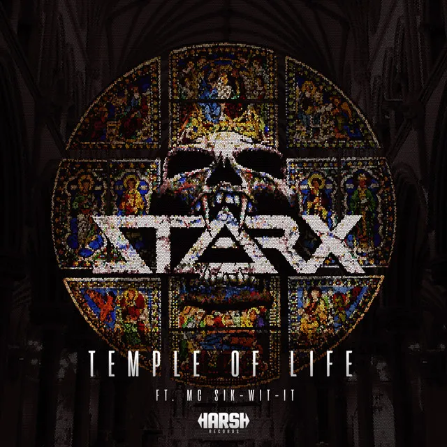 Cover art of Temple of Life