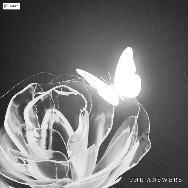 Cover art of The Answers