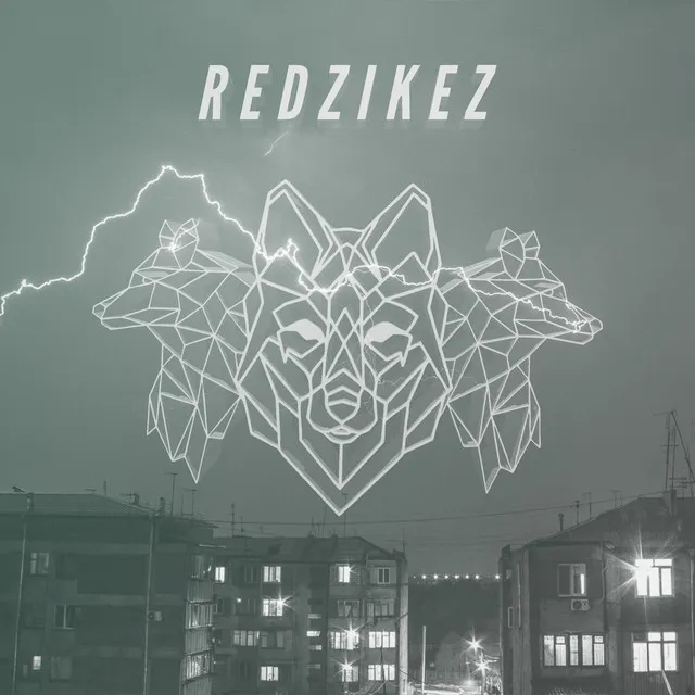 Cover art of The Future