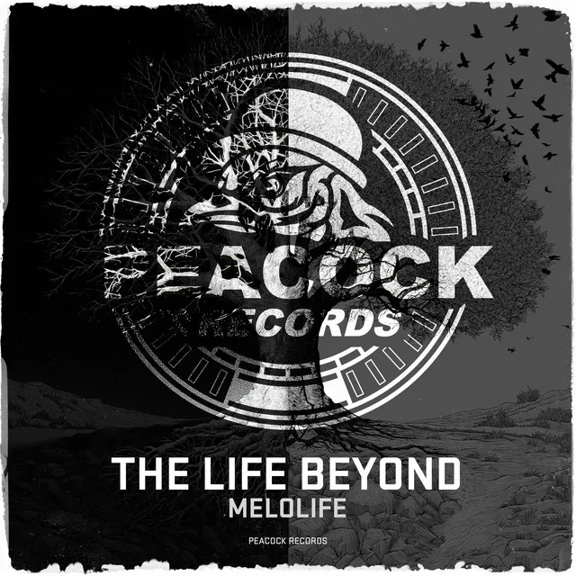 Cover art of The Life Beyond