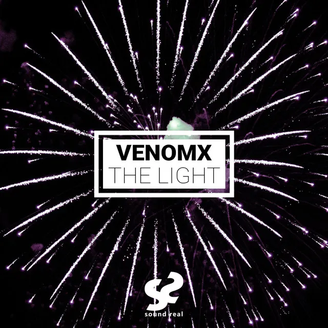 Cover art of The Light