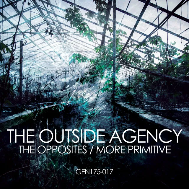 Cover art of The Opposites / More Primitive