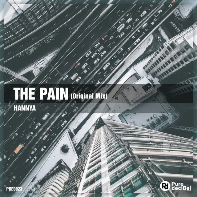 Cover art of The Pain