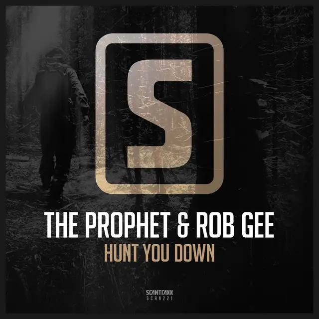 Hunt You Down by The Prophet, Rob Gee - Hardstyle cover art