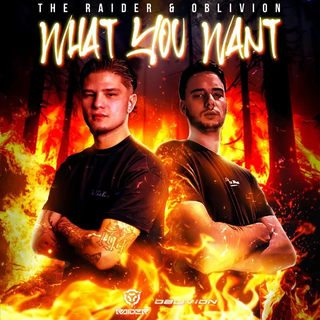 What You Want by The Raider, Oblivion - Hardstyle cover art