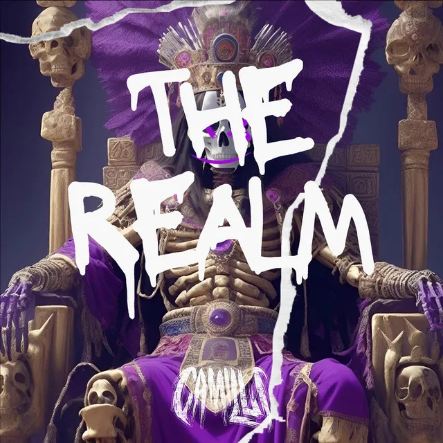 Cover art of The Realm