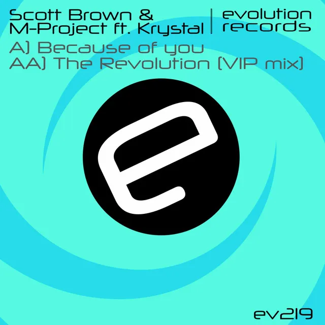 Cover art of Because of You / The Revolution (VIP Remix)