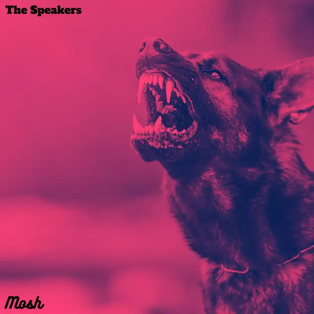 Panic Attack by The Speakers - Frenchcore cover art